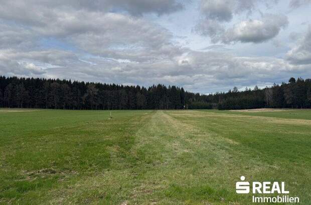 Grundstück kaufen in 4762 St. Willibald