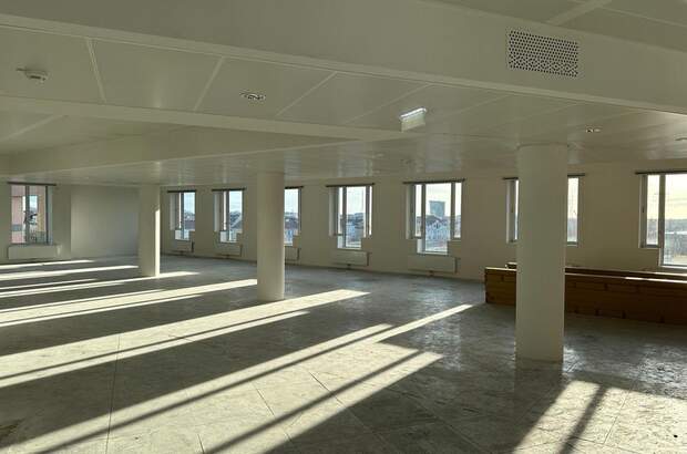 Gewerbeobjekt mieten in 1020 Wien (Bild 5)