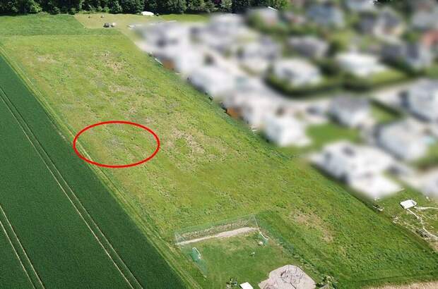Grundstück kaufen in 4223 Ruhstetten (Bild 2)