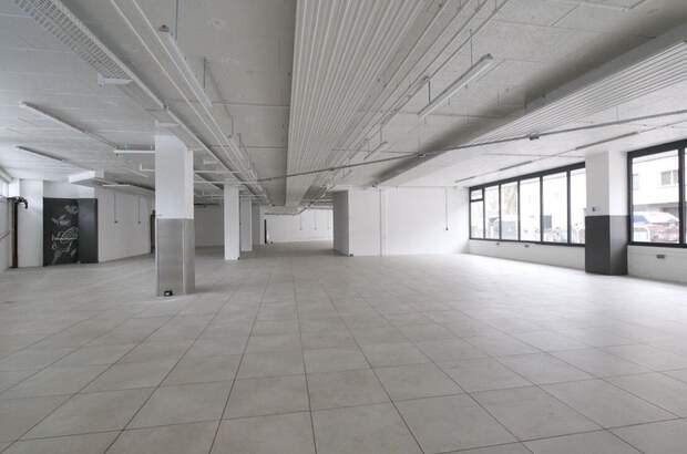 Gewerbeobjekt mieten in 1130 Wien (Bild 1)