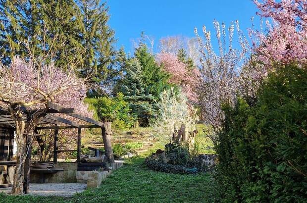 Haus mit Garten kaufen in 3430 Chorherrn (Bild 1)