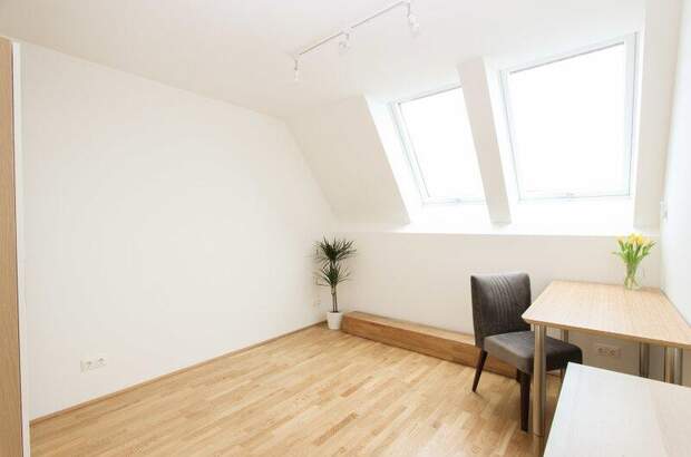 Terrassenwohnung mieten in 1070 Wien (Bild 4)