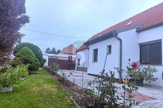 Einfamilienhaus kaufen in 7091 Breitenbrunn (Bild 1)