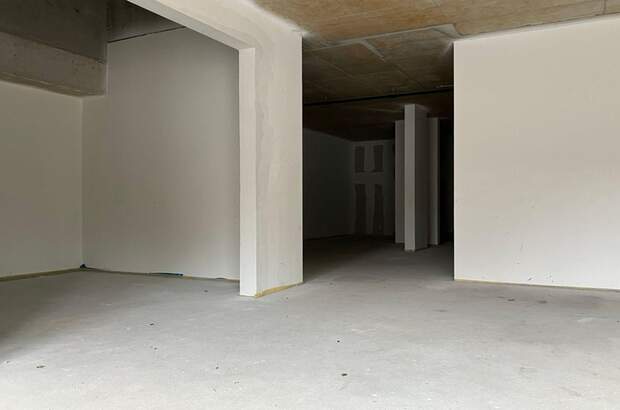 Gewerbeobjekt mieten in 1230 Wien (Bild 5)
