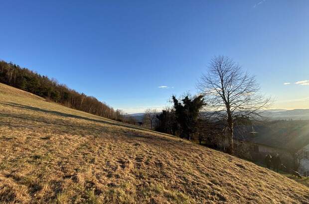 Grundstück kaufen in 8441 Höch (Bild 4)