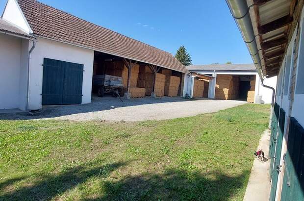 Mehrfamilienhaus kaufen in 2253 Weikendorf (Bild 4)