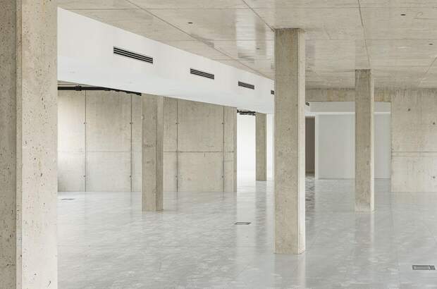 Gewerbeobjekt mieten in 1230 Wien (Bild 4)