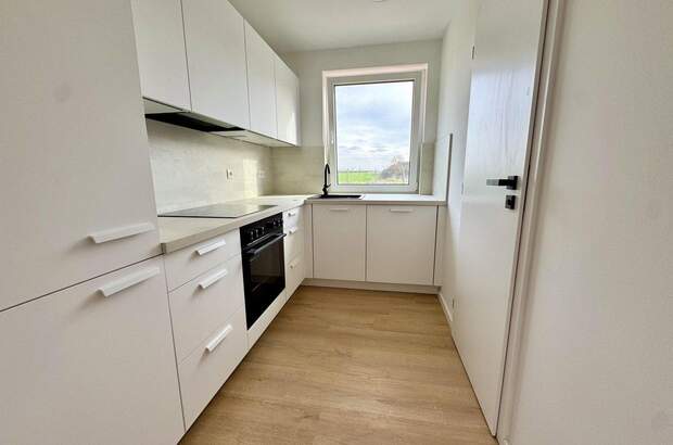 Einfamilienhaus mieten in 2273 Hohenau (Bild 1)