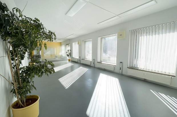 Gewerbeobjekt mieten in 8790 Eisenerz (Bild 1)