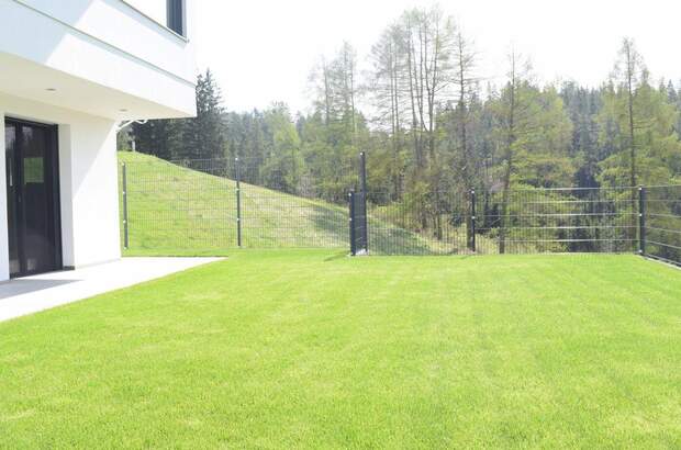 Haus kaufen in 4204 Haibach (Bild 5)