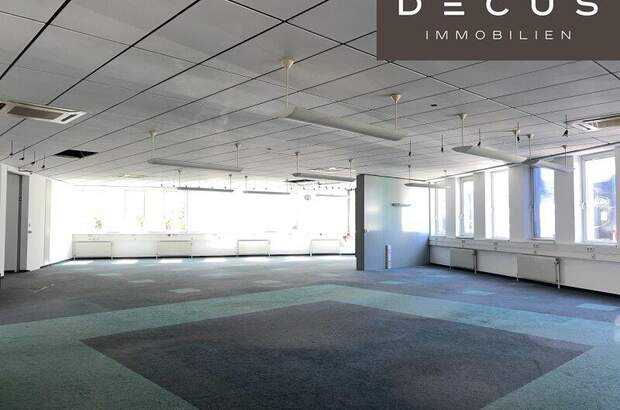 Büro / Praxis mieten in 1230 Wien (Bild 2)