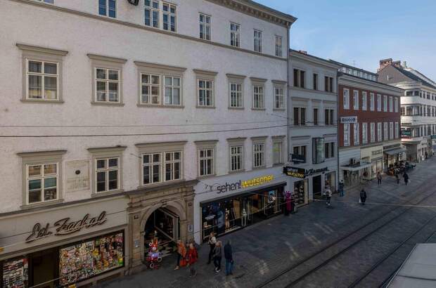 Gewerbeobjekt mieten in 4020 Linz (Bild 3)