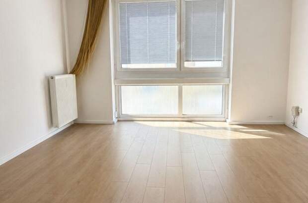 Gewerbeobjekt mieten in 1010 Wien (Bild 2)