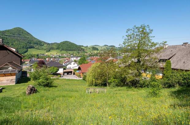 Grundstück kaufen in 4452 Ternberg (Bild 1)