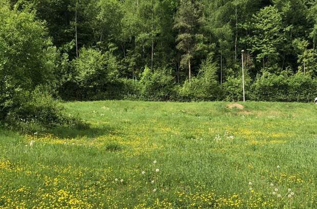 Grundstück kaufen in 8051 Graz (Bild 3)