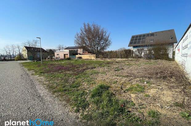 Grundstück kaufen in 7100 Neusiedl (Bild 1)