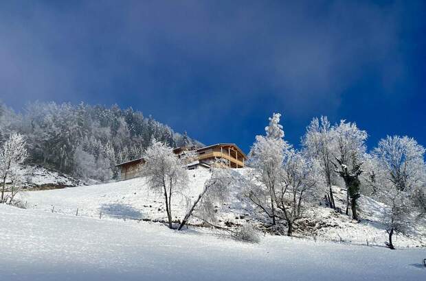 Gewerbeobjekt kaufen in 6346 Niederndorferberg (Bild 2)