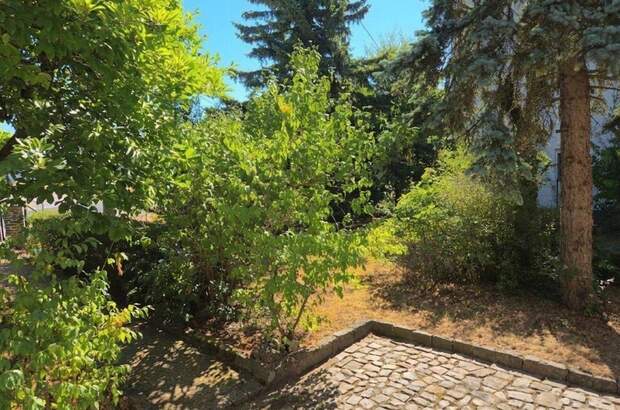 Haus mit Garten kaufen in 4063 Hörsching (Bild 2)