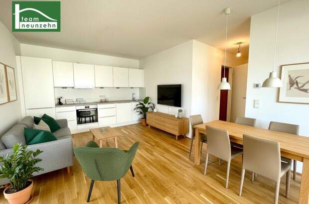 Terrassenwohnung mieten in 1220 Wien (Bild 1)