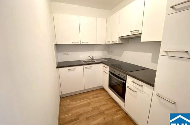 Terrassenwohnung mieten in 1090 Wien (Bild 2)