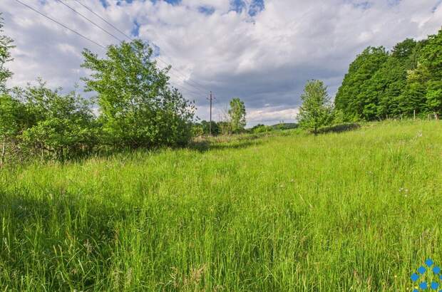 Grundstück kaufen in 8230 Eggendorf (Bild 3)