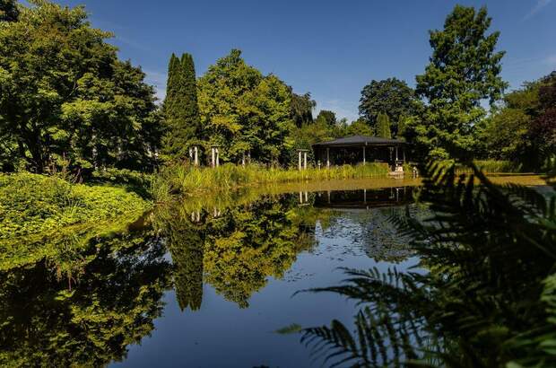 Haus mit Garten kaufen