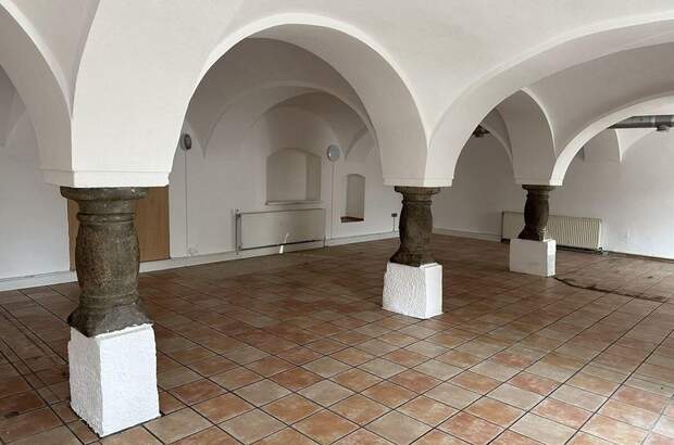 Gewerbeobjekt mieten in 4052 Ansfelden (Bild 1)