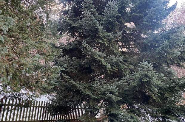 Grundstück kaufen in 8054 Graz (Bild 2)