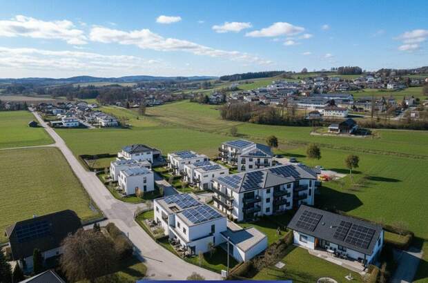 Haus mit Garten kaufen in 4722 Steegen (Bild 5)