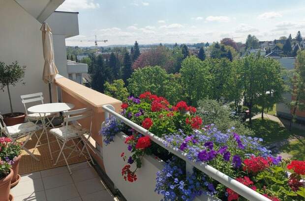 Wohnung mit Balkon kaufen in 4910 Ried (Bild 1)