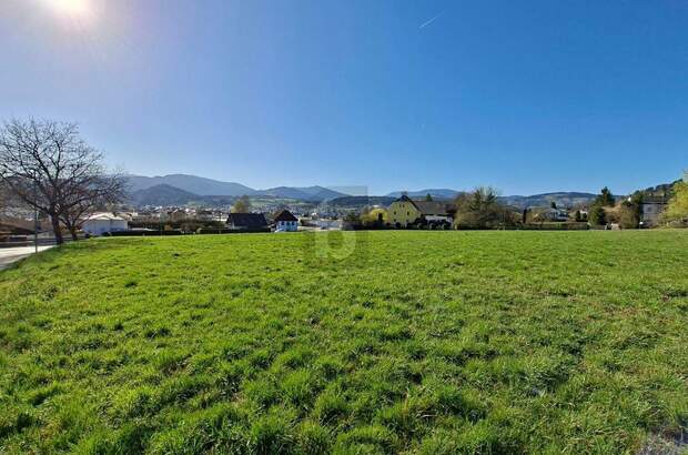 Grundstück kaufen in 9560 Feldkirchen (Bild 1)