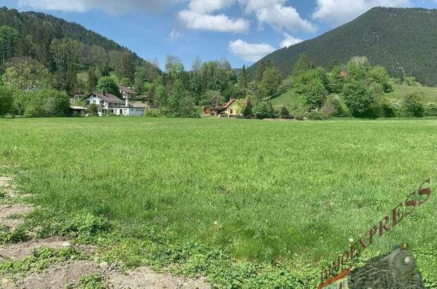 Grundstück kaufen in 2734 Puchberg (Bild 2)