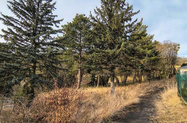 Grundstück kaufen in 1170 Wien (Bild 4)