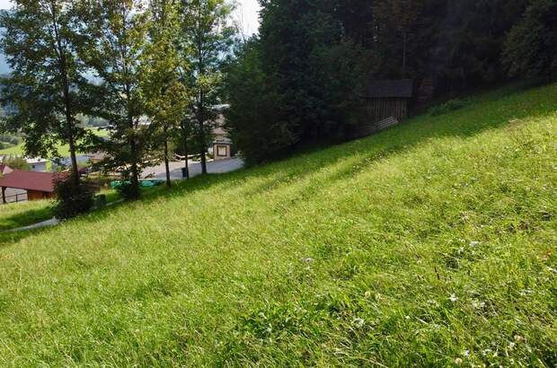 Grundstück kaufen in 8962 Gröbming (Bild 4)