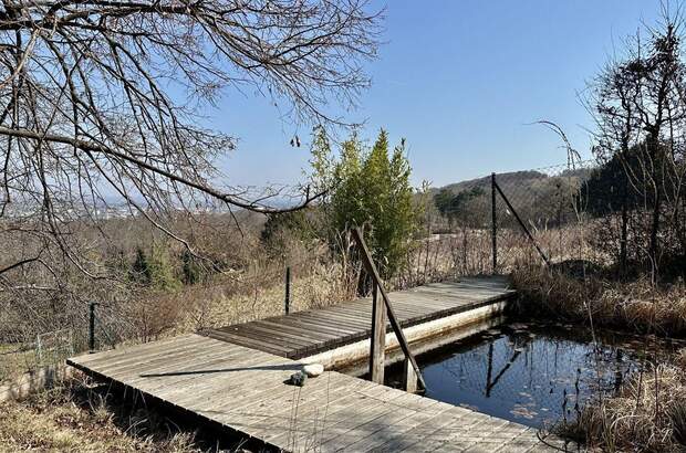 Grundstück kaufen in 2340 Mödling (Bild 1)