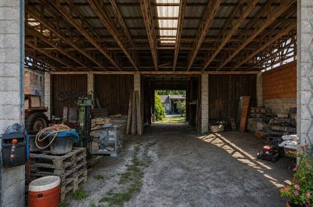 Jagd- und Forstwirtschaft kaufen in 2405 Bad Deutsch (Bild 5)