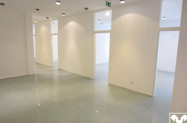 Gewerbeobjekt mieten in 4240 Freistadt (Bild 3)