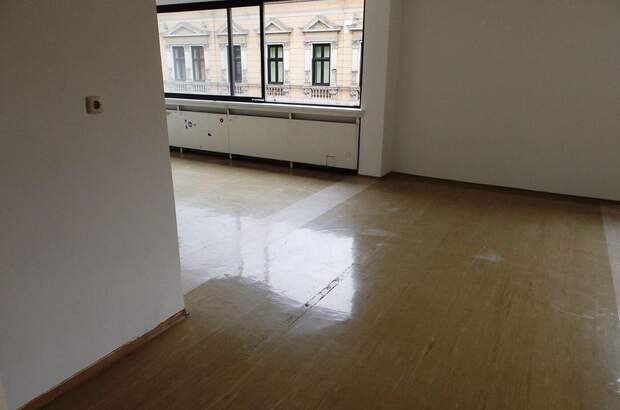 Gewerbeobjekt mieten in 4020 Linz (Bild 4)
