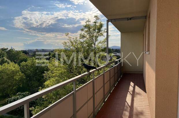 Terrassenwohnung kaufen in 1220 Wien (Bild 1)