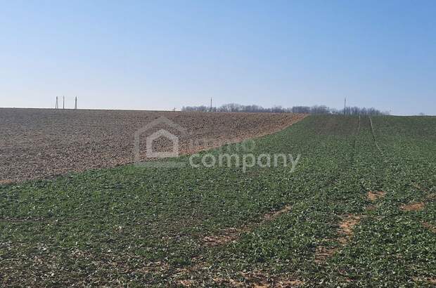 Grundstück kaufen in 8394 Nemesboldogasszonyfa (Bild 1)