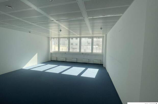 Gewerbeobjekt mieten in 1020 Wien (Bild 4)