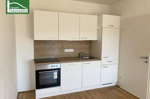 Terrassenwohnung mieten in 8020 Graz (Bild 2)