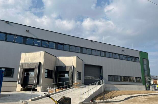 Gewerbeobjekt mieten in 4470 Enns (Bild 5)