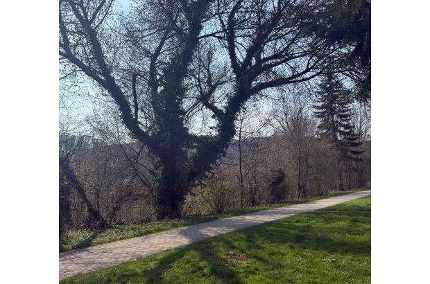 Einfamilienhaus kaufen in 4048 Puchenau (Bild 1)