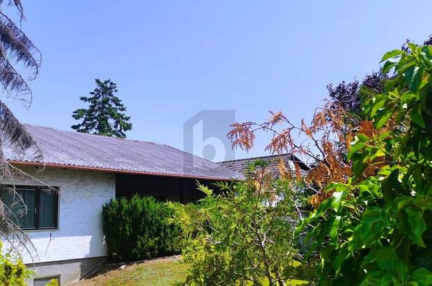 Einfamilienhaus kaufen in 2601 Sollenau (Bild 1)