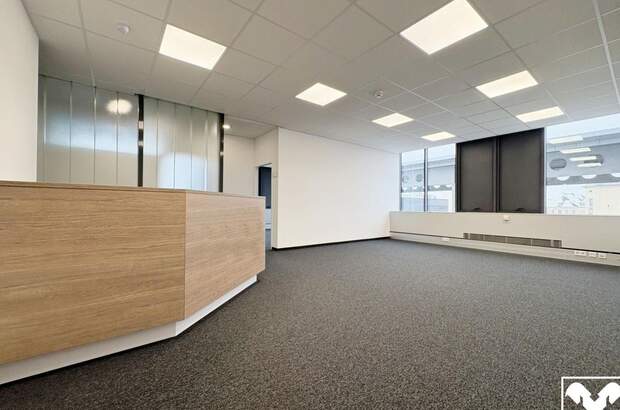 Gewerbeobjekt mieten in 4600 Wels (Bild 1)