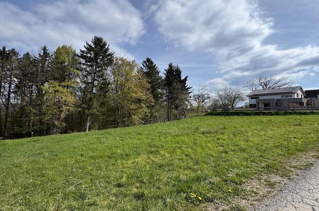 Grundstück kaufen in 8452 Großklein (Bild 3)