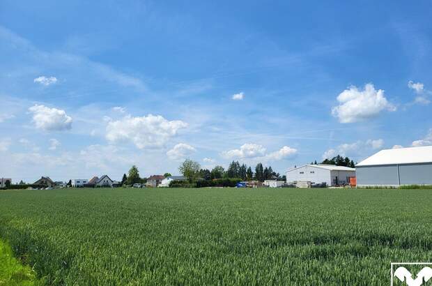 Gewerbeobjekt mieten in 4063 Hörsching (Bild 4)