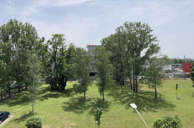 Gewerbeobjekt mieten in 1210 Wien (Bild 5)