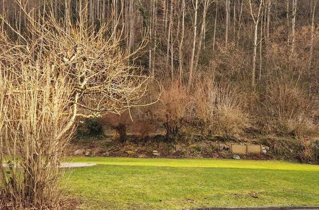 Haus mit Garten kaufen in 6840 Götzis (Bild 2)